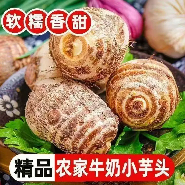 贵州牛奶芋头新鲜现挖批发农家整箱芋艿软糯香甜蔬菜