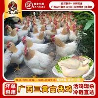 农二伯2只装广西三黄土鸡散养母鸡煲汤鲜美优质山林古典鸡-顺丰邮