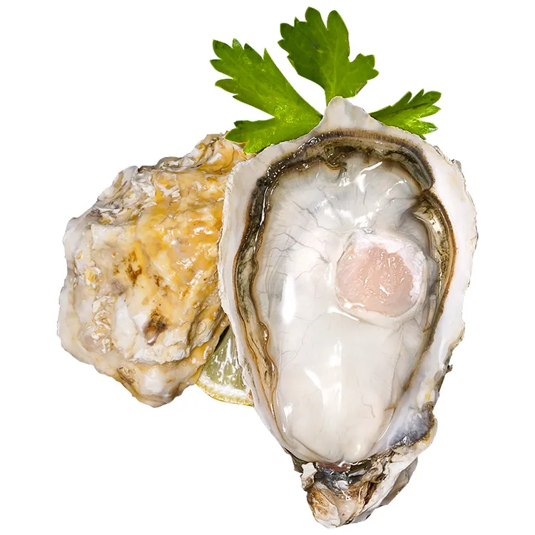 正宗鲜活乳山生蚝海蛎子 免洗款  2XL-6XL 5斤装 （不含售后）