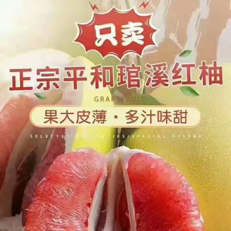 福建柚缘人平和福建水果中秋送礼盒正宗红肉红心蜜柚子产地直销