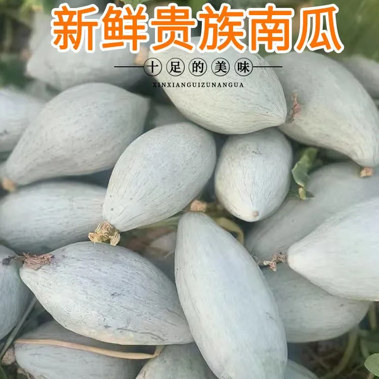 【嘎嘎噎人】丑倭瓜软糯贵族南瓜香甜板栗味适合宝宝辅食健康种植