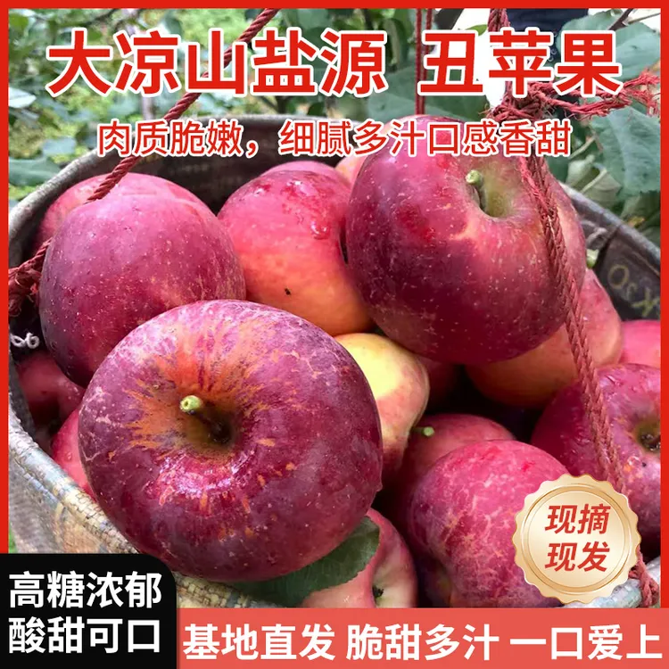 四川大凉山盐源丑苹果产地直发清脆酸甜可口新鲜当季现摘发货