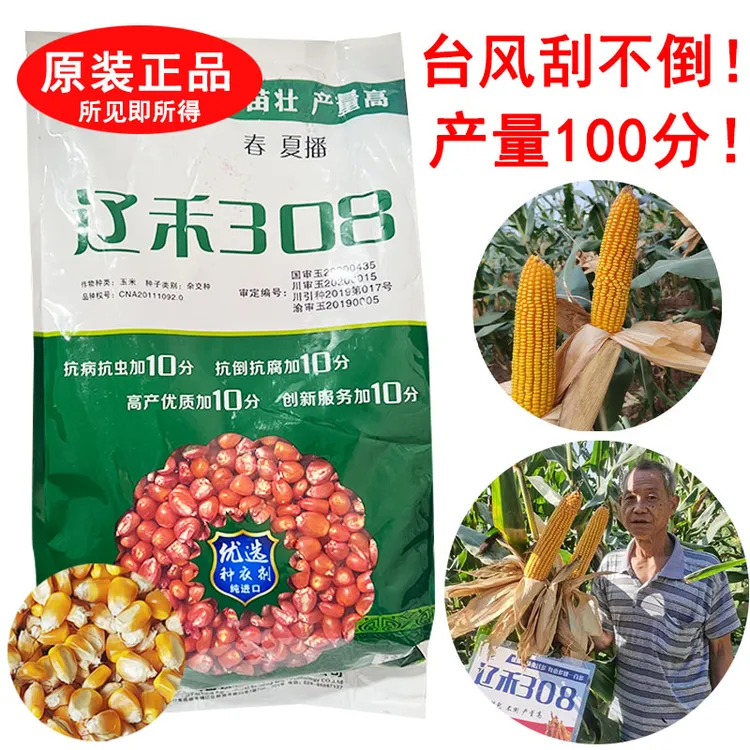 辽禾308玉米种子老品种高产矮杆大棒抗病高产抗倒伏杂交正品