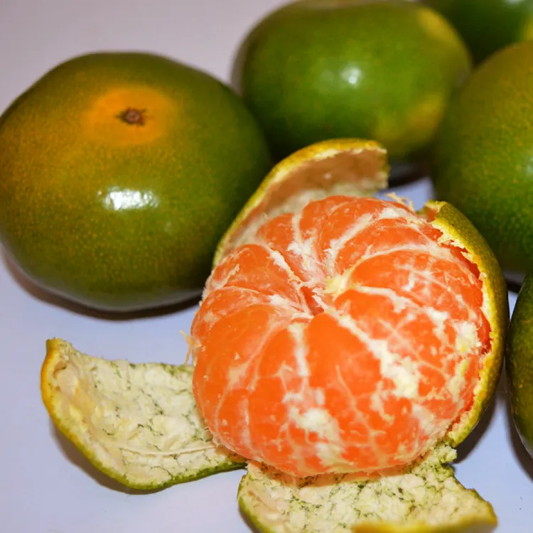 【新鲜采摘】湖南高山早熟蜜橘皮薄肉厚青皮蜜桔汁水多应季水果