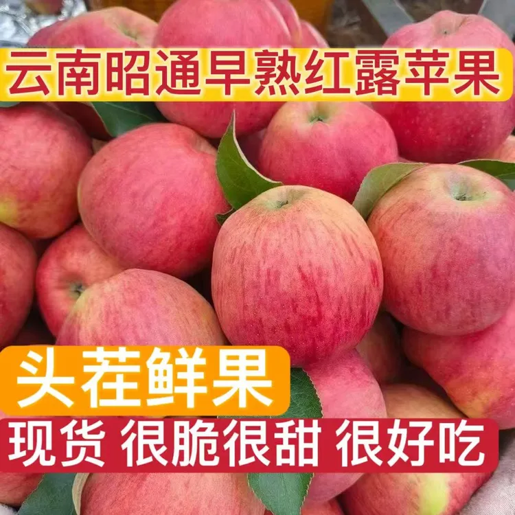 云南昭通当季早熟红露苹果脆甜多汁4.7/9.5斤装包邮