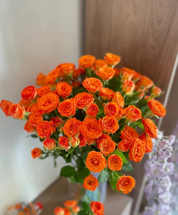 【花梦鲜花】橙色芭比多头玫瑰云南鲜花基地直发鲜切花花艺家庭插花