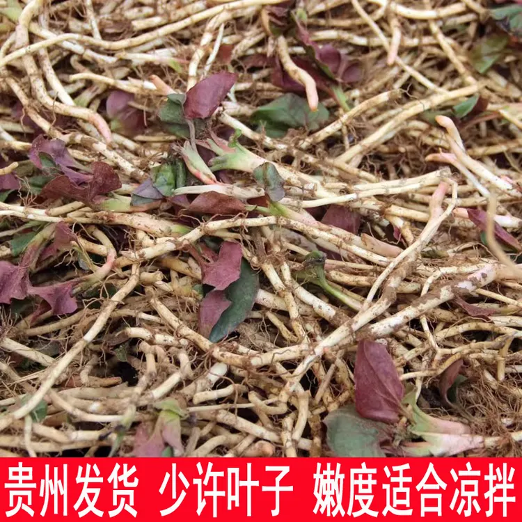 【飞鱼小店】0.5-5斤贵州鱼腥草新鲜折耳根现挖节节根农家凉拌菜