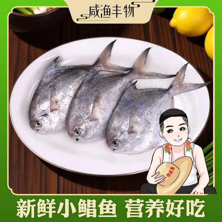 象山石浦鲳鱼银鲳鱼刚刚回港