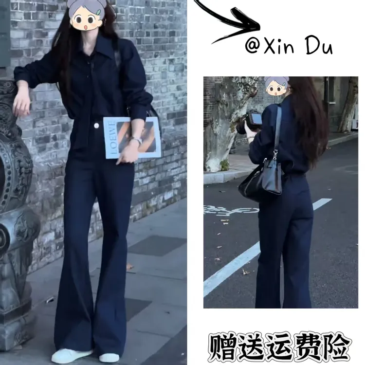 2025秋季新款时尚显瘦气质女士网红洋气两件套百搭款D22900