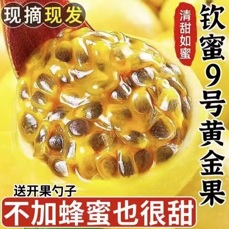 C5【到手18个】广西正宗钦蜜9号黄金百香果新鲜水果（送开果器）