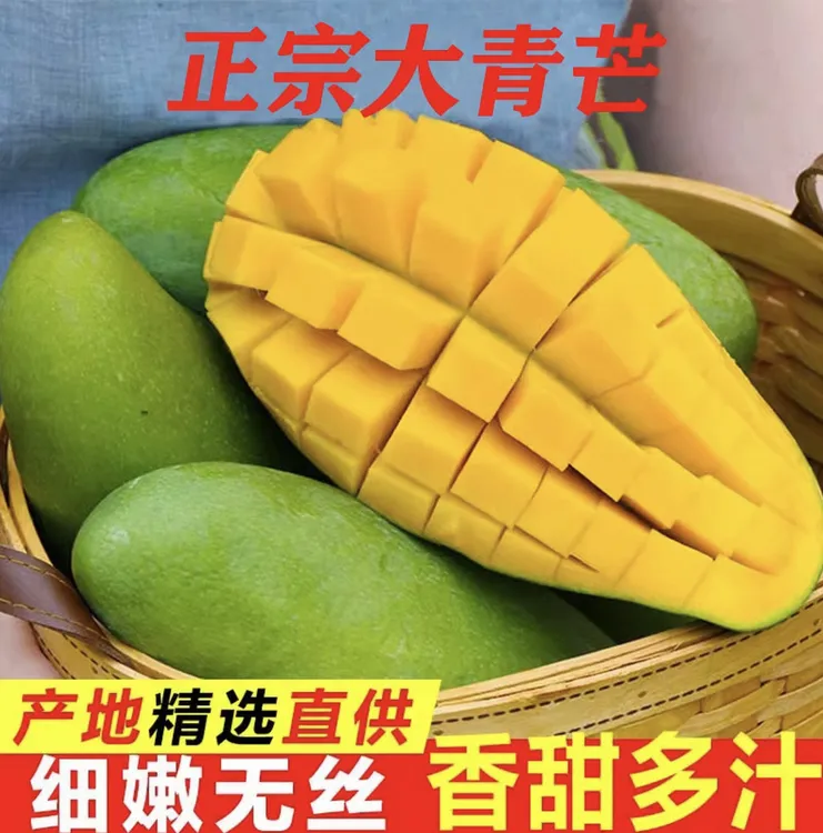 【放熟吃】广西金煌芒应季甜心芒果香甜现摘现发