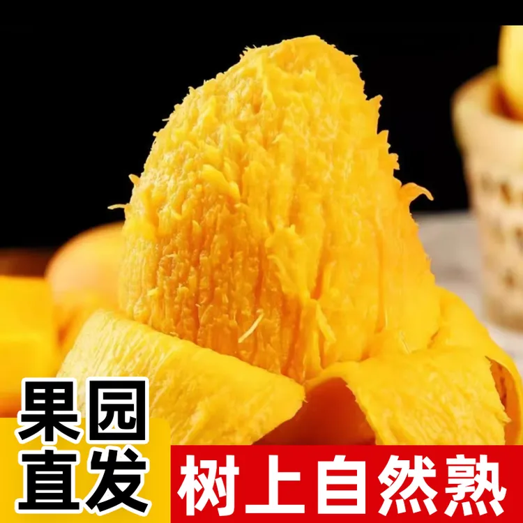 广西百色台农芒新鲜应季水果放熟吃口感香甜