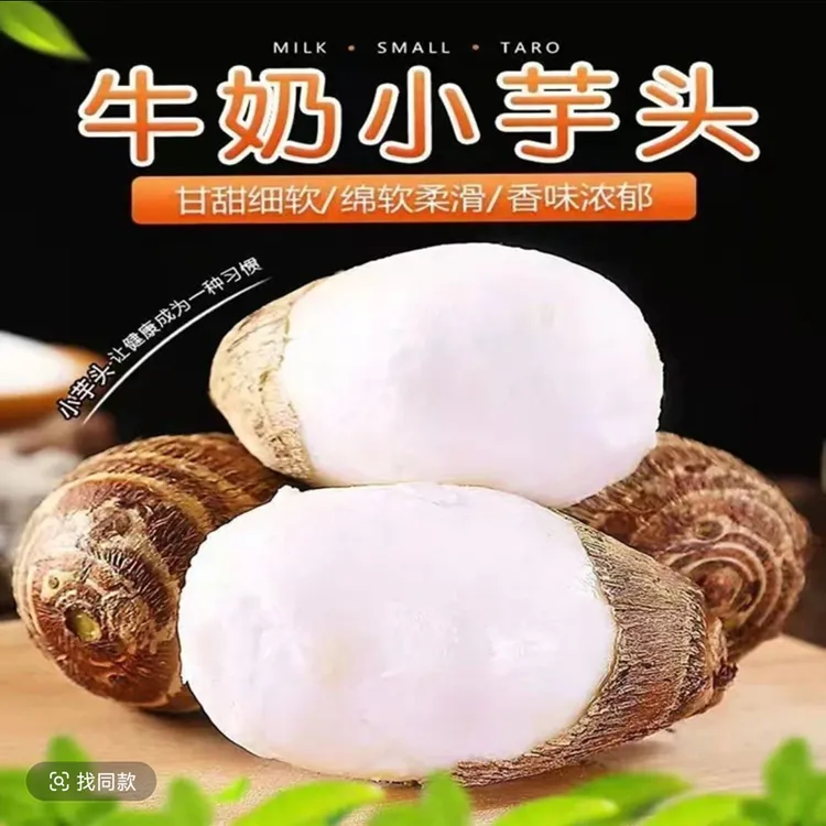 贵州牛奶芋头芋艿新鲜应季现挖现发产地直发香甜软糯芋头商品图