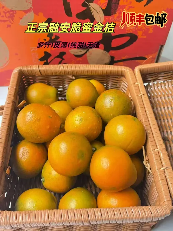 广西融安脆蜜金桔无酸当季新鲜现摘水果2斤装