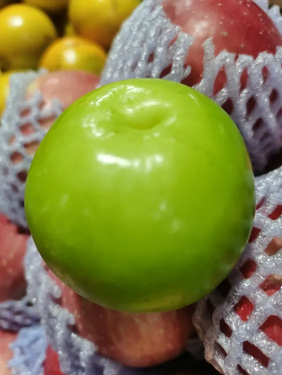 云南省西双版纳苹果枣清甜多汁应季水果树熟果