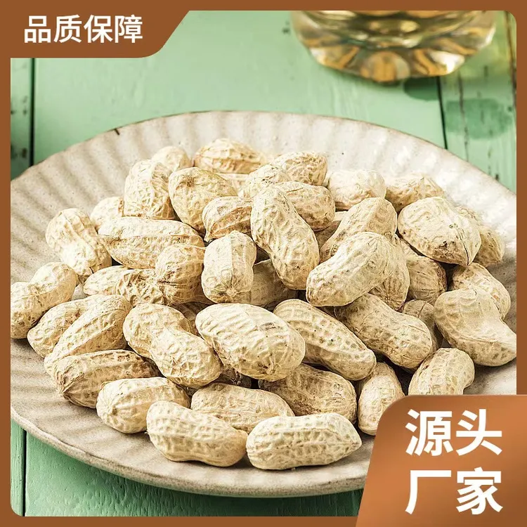 【25年新货】500g精选龙岩花生蒜香五香味花生坚果特产追剧下酒零食