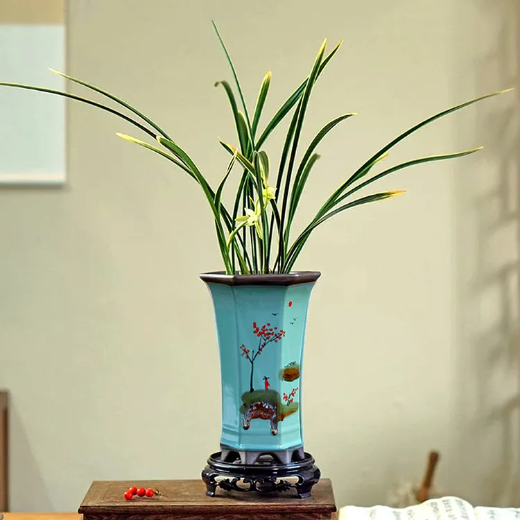 [高雅]兰花盆栽四季金边素心细叶浓香书房好养室内绿植带陶瓷盆
