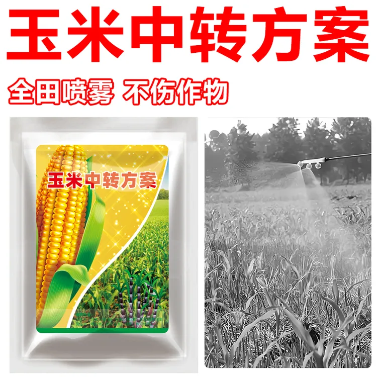 1玉米田使用中转方案不伤农作物不影响正常生长有机质肥料