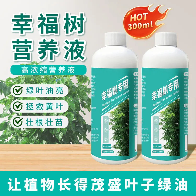 幸福树专用营养液植物营养液通用型室内外盆栽绿植土培水培适用