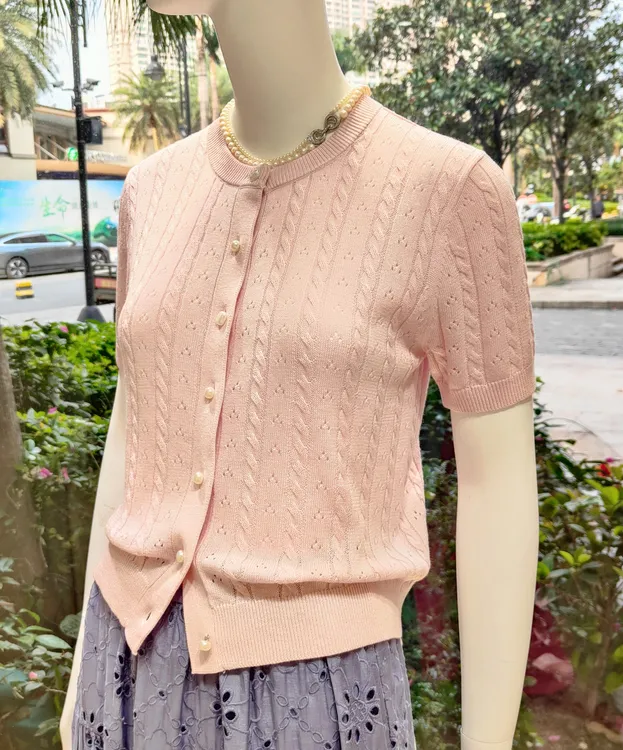 2025夏季欧若风通勤短袖气质时尚常规款女装薄款毛针织衫圆领