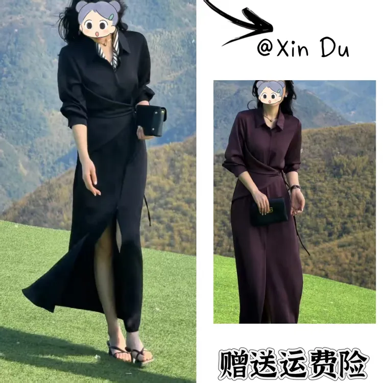 2025秋季新款时尚显瘦气质女士网红洋气连衣裙百搭款D22892