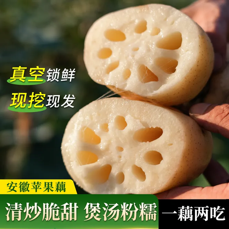【安徽苹果藕】脆甜湖藕嫩莲藕生吃水果藕新鲜现挖凉拌新藕煲汤藕