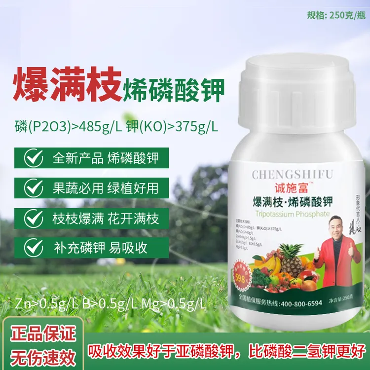 枝枝爆满果树蔬菜瓜花满枝膨果增甜控旺控梢烯磷酸钾肥料