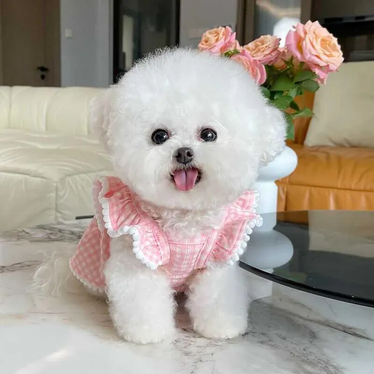 FAVMARTHA~宠物衣服夏季新款飞袖公主裙子狗狗猫咪空调