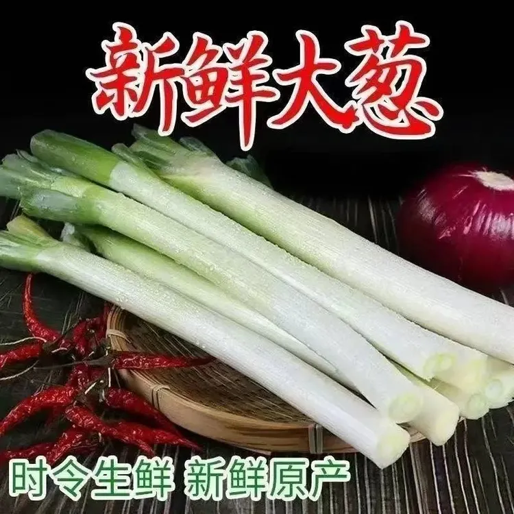 东北新鲜现挖铁杆大葱长白净葱甜脆蘸酱蔬菜