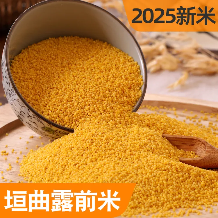 春谷米垣曲露前小米2025年新米农家黄小米五谷杂粮山西小米月子米