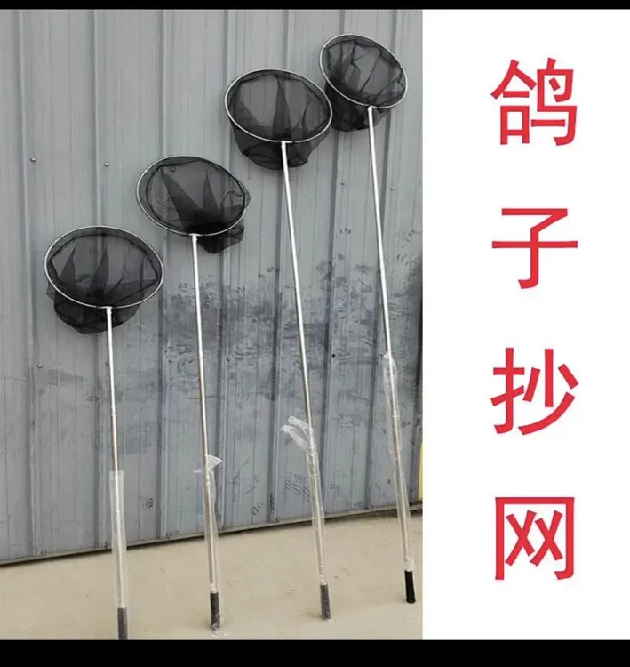 可伸缩多种规格鸽子专用抄网信鸽赛鸽鸽具养殖用品新型