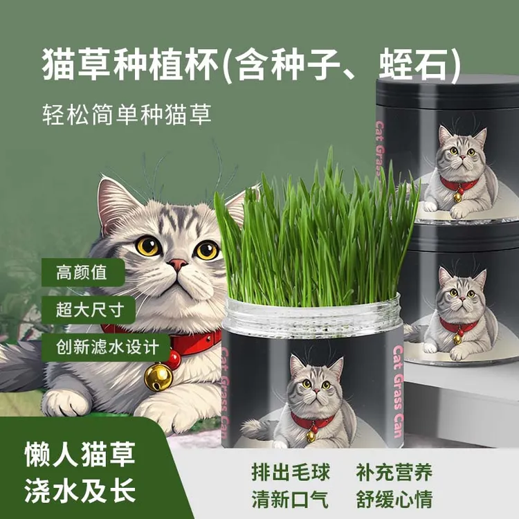 懒人泡面猫草无土猫草罐猫咪零食营养混合猫草排毛化毛去毛球