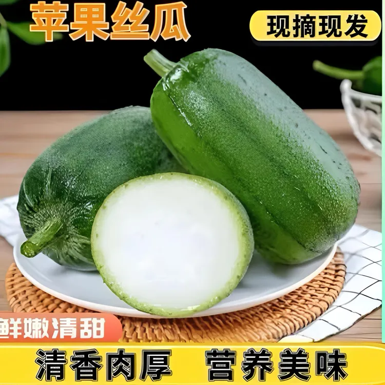 胖肉苹果丝瓜新鲜孕妇丝瓜当季蔬菜现摘直发水果丝瓜