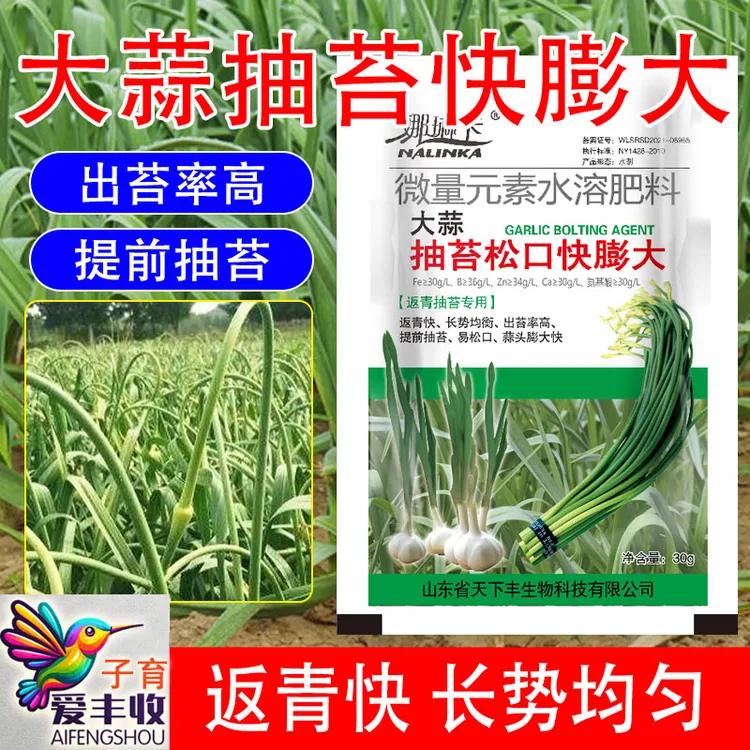 爱丰收大蒜抽苔松口快膨大叶面肥大蒜蒜薹粗嫩专用叶面肥增粗肥