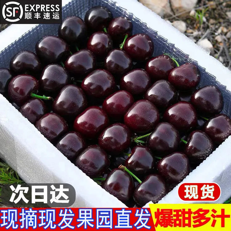 特大果顺丰海运智利进口拉宾斯车厘子5斤J-5J内附果径卡