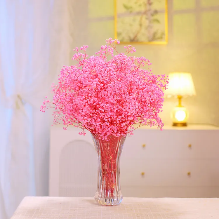 云南永生花满天星节日干花干花永生花