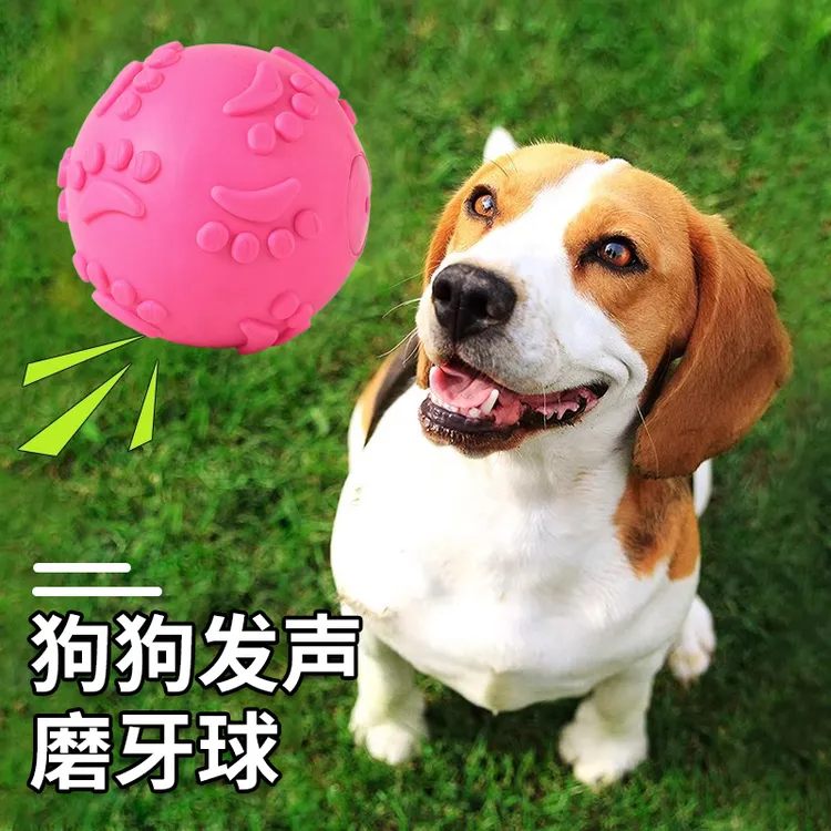 狗狗发声玩具球泰迪耐咬磨牙玩具发声小型犬幼犬宠物用品狗玩具球