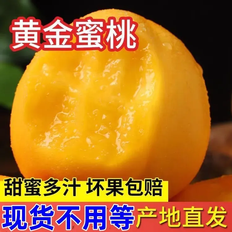 安徽砀山新鲜当季黄桃现摘现发脆甜多汁纯甜好吃锦绣黄金蜜7号锦