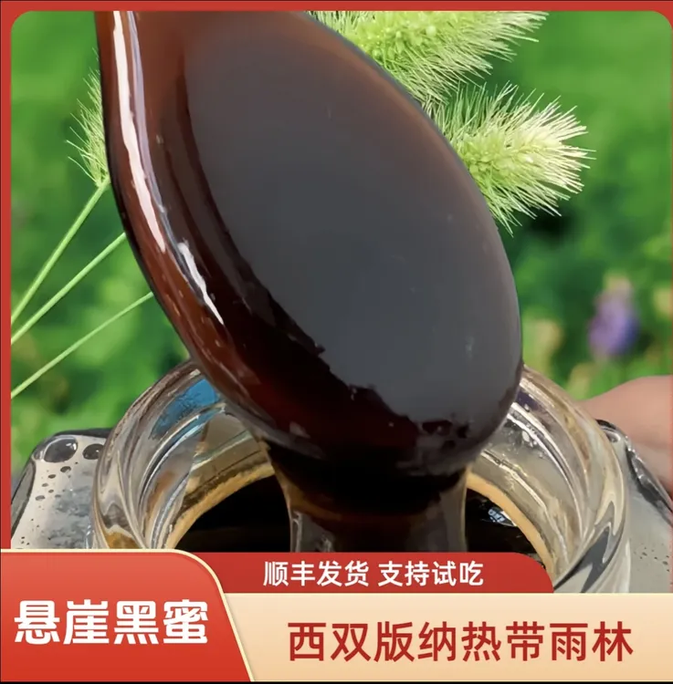 【悬崖黑蜜】中缅边境热带雨林野生蜂蜜 花青素丰富 顺丰发货