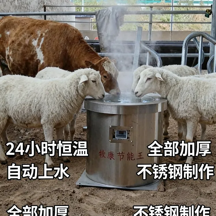 牛羊自动恒温上水节能省电硅胶加热恒温24小时一度电