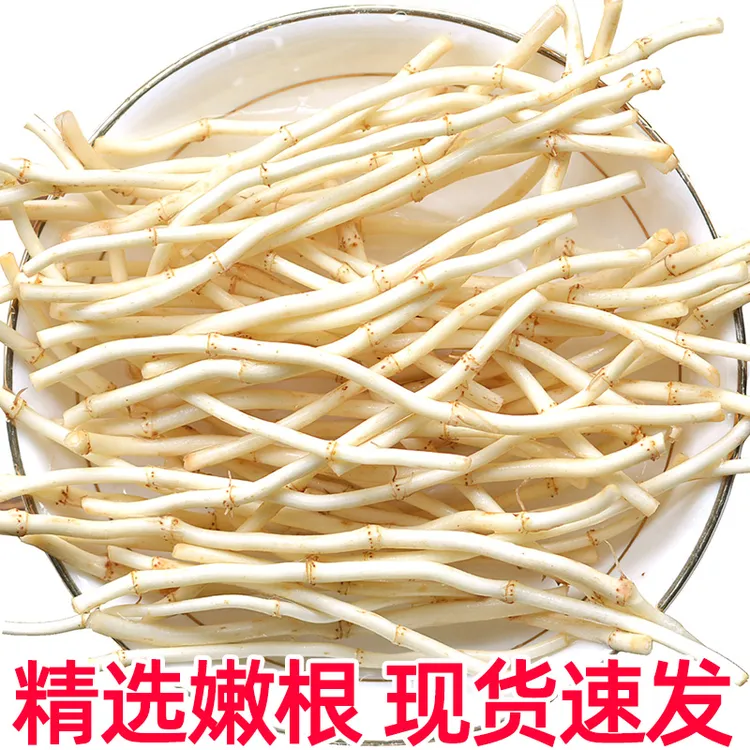 【新根上市】农家鱼腥草新货新鲜折耳根嫩根湖北节儿根凉拌火锅蔬菜