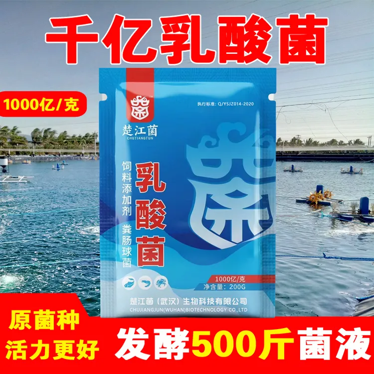 千亿鱼池水产乳酸菌水产养殖专用乳酸菌粉抑制降蓝藻ph值净水剂