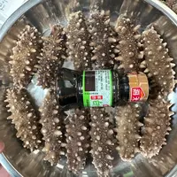正宗辽参即食海参深海海参【特惠专属】好口感