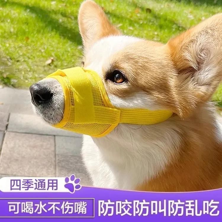 狗嘴套防咬防叫可喝水防乱吃口罩宠物止吠器金毛泰迪中小型狗kcv