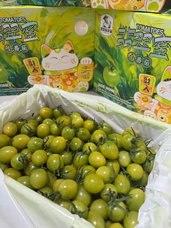 新鲜现摘翡翠蜜小番茄清甜爽口热量低减脂必吃【新疆直发】