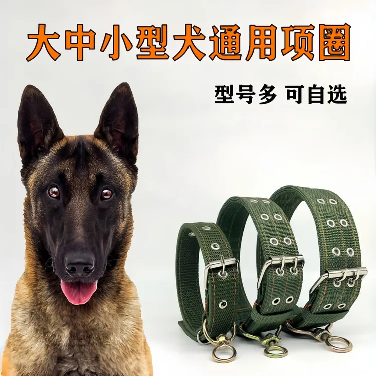 狗项圈中大型犬结实金毛马犬宠物狗脖圈狗颈圈小型犬狗脖套狗头套