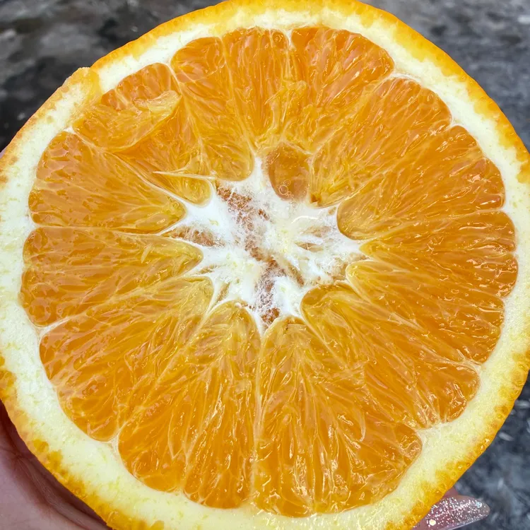 【产地直发】云南高原纽荷尔脐橙当季新鲜水果果园现摘