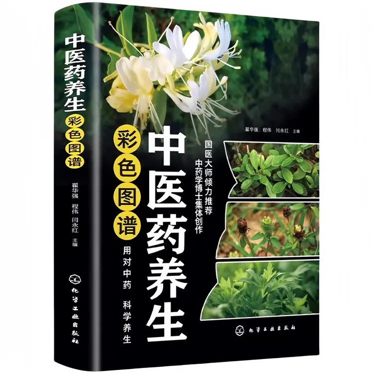 中医药养生彩色图谱 中医养生智慧经典读物实用养生技巧指南书籍