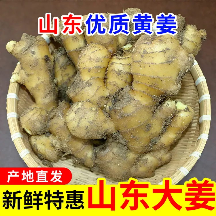 【钻石老店】山东大姜正宗黄姜辛辣味浓新鲜现挖嫩姜老姜生姜无硫熏
