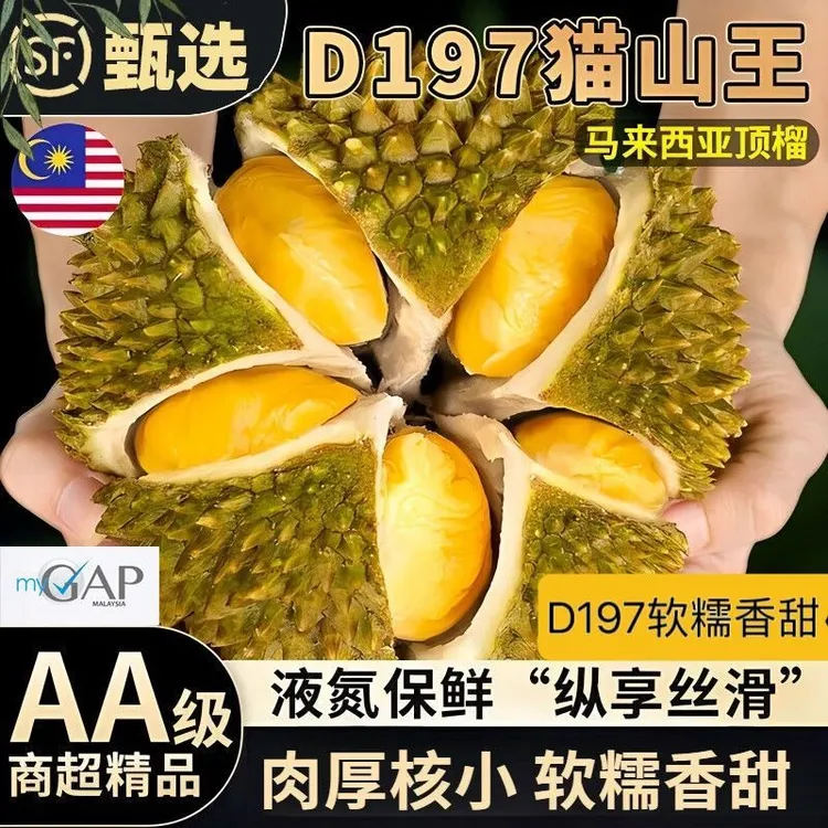猫山王榴莲D197新货正宗新鲜马来西亚进口水果液氮冷冻带壳一整个